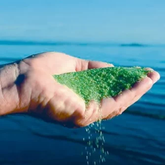 AFM filter glass in palm