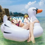 Cygne flottant