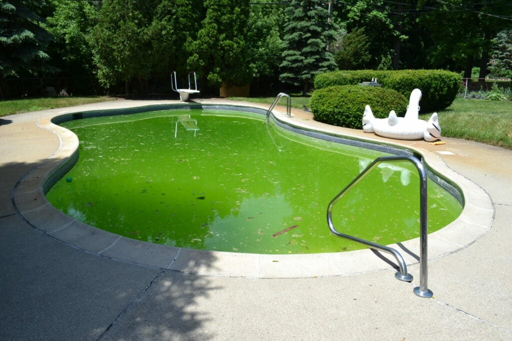 eau-de-piscine-verte