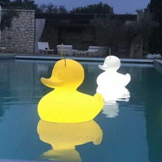 canard canard xl