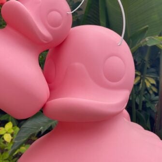 The Duck Duck Lamp Pink Edition 2