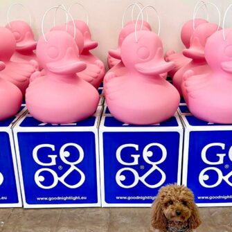 The Duck Duck Lamp Pink Edition 7