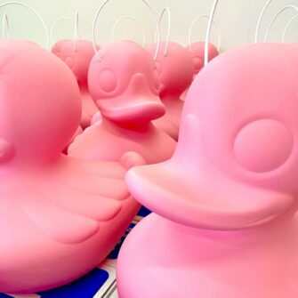 The Duck Duck Lamp Pink Edition 8