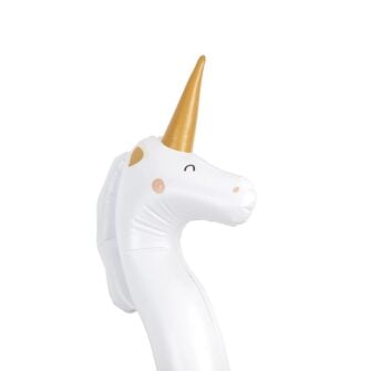 Copain hippocampe 02
