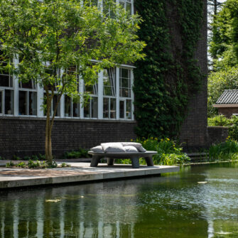 Fliegender Tellermann 08