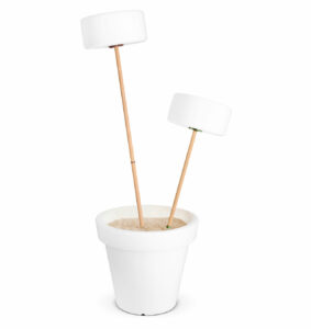 Fatboy Thierry le Swinger