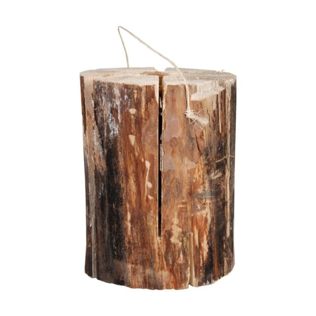 Tree trunk torch