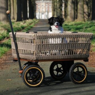 Gartenwagen