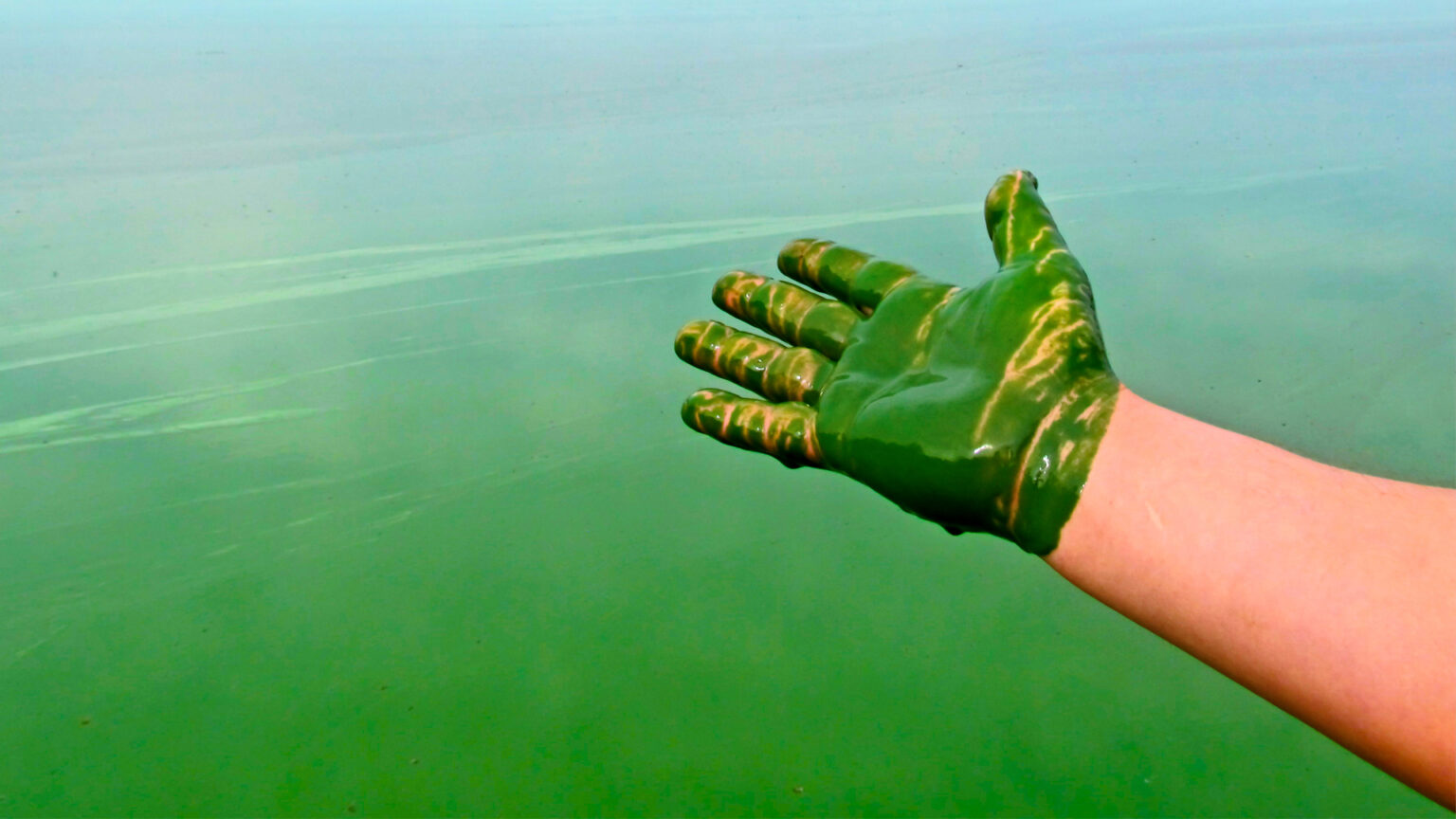 Groen zwembad water terug helder maken hoe doe je dat?
